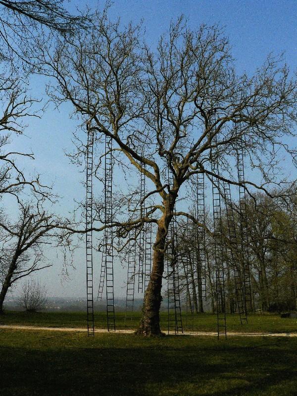 Méchain - L'arbre aux échelles