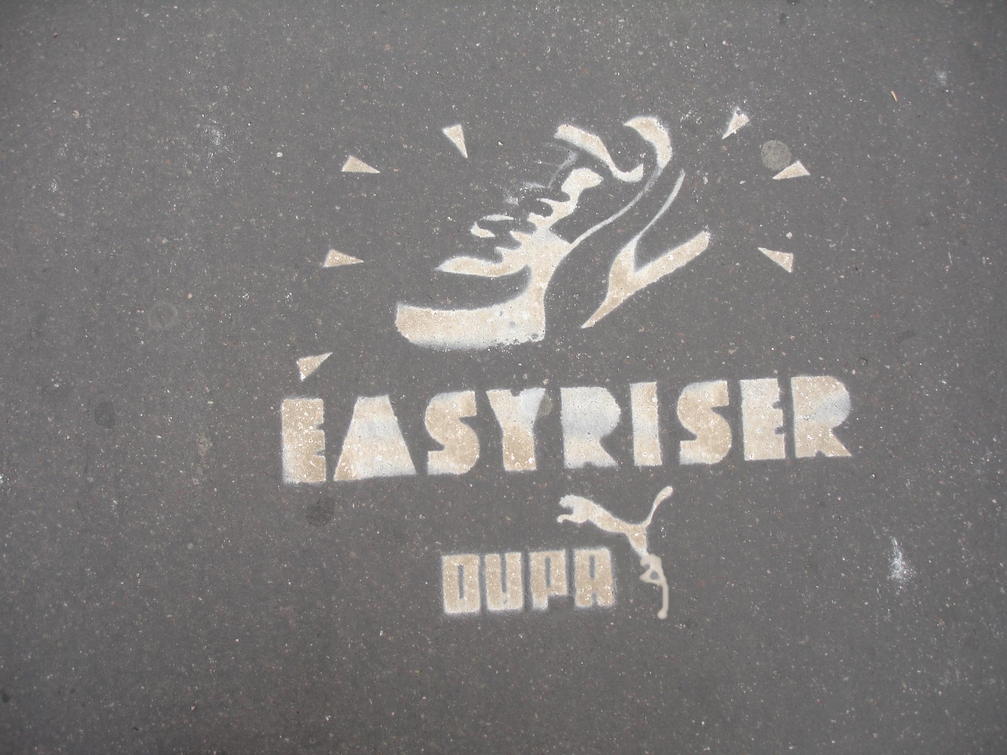 Logo EasyRiser