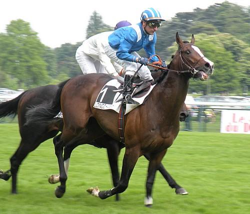 Longchamp (10.05.09)