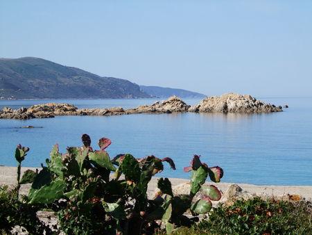 Corse___journ_e_5__7_