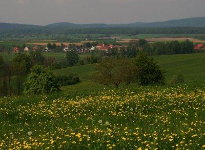 Le Bestiaire des sorcières du mont Bastberg