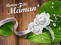 12-FeMe-maman_fleurs_430x322 12-FeMe-maman_fleurs_430x322