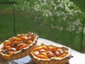 tartelettes aux mirabelles 006