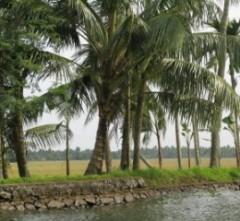 Contes de l'ordi sacré : La vengeance du caribou fou 17 South_India_421.jpg