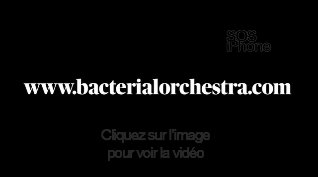 pandemiemusicale pandemiemusicale