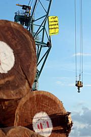 Monsieur Sarkozy, quelle ambition pour la filière bois française si l’on ne lutte pas contre le commerce de bois d’origine illégale ?