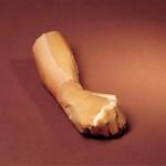 Des sculptures photographiques Des sculptures photographiques