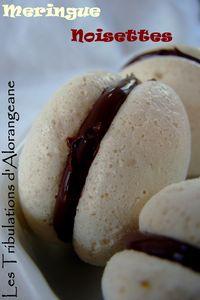 Contrefaçon de macarons DSC00725