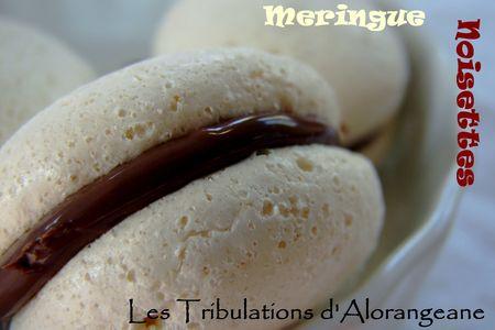 Contrefaçon de macarons DSC00727