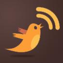 Twitter Feed - Logo