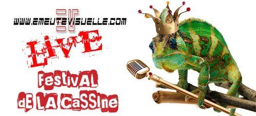 Festival La Cassine live emeutevisuelle