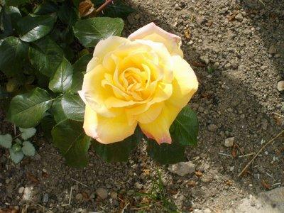 doubles nuits doubles nuits