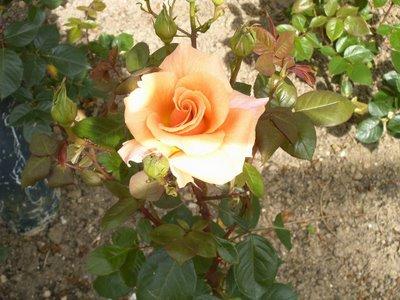 doubles nuits doubles nuits