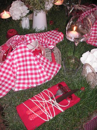 Table pique-nique sur l'herbe table_picnic_034