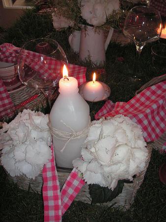 Table pique-nique sur l'herbe table_picnic_019