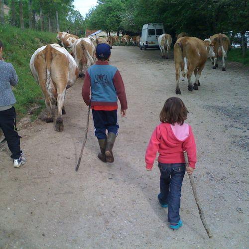 comment ça on ne fait pas une note avec une cinquantaine de photos de retour de week-end ? ben si IMG_0536