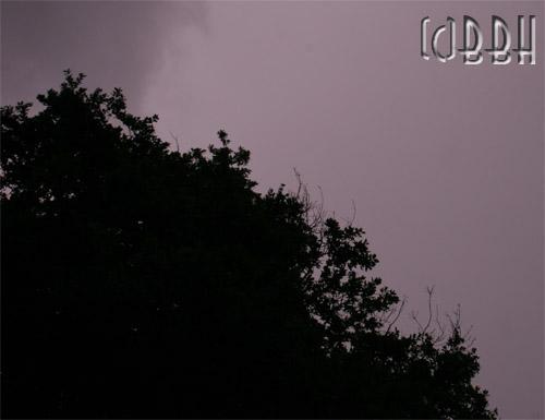 Pour une nuit avec toi... Pour une nuit avec toi...