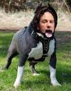 L'amendement proposé par Frédéric Lefebvre rejeté par la Commission des affaires sociales L'amendement proposé par Frédéric Lefebvre rejeté par la Commission des affaires sociales