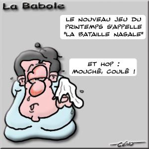 La Babole - Allergies de printemps La Babole - Allergies de printemps