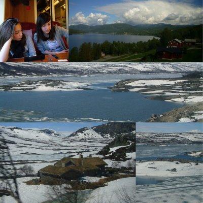Visite des fjords et brioches suédoises Kanelbullar