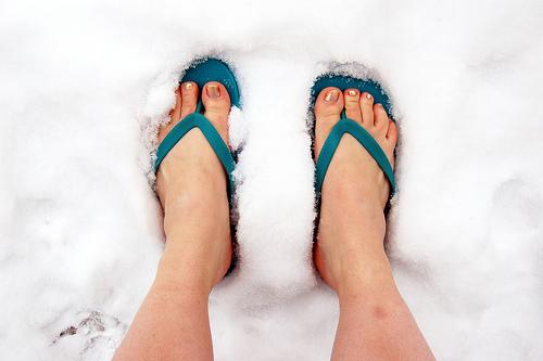 Une bonne adresse par semaine Une bonne adresse par semaine