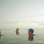 Kurt Stallaert Kurt Stallaert