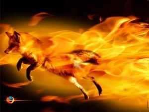 the_firefox_by_djog the_firefox_by_djog