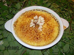 Crème brûlée aux fleurs d'acacia 004