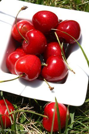 Moelleux de Ricotta, Citron-Cerises 137