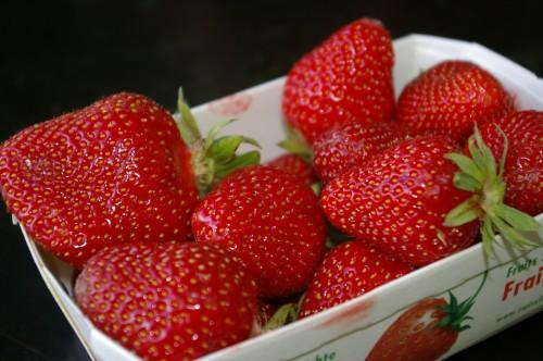 La Liaudisaz, 20 ans de cave, une journée de fête! IMGP7209.JPG