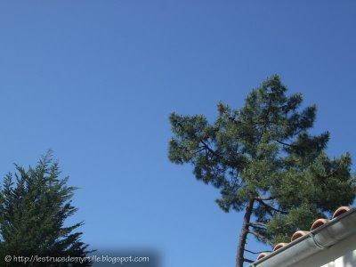 Ciel du lundi #4 - Du bleu à Oléron Ciel du lundi #4 - Du bleu à Oléron