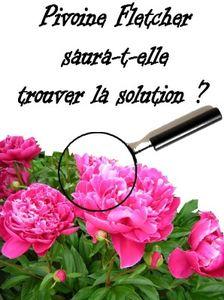 Interview Thierry Pastor début juin Banni_re_Pivoine