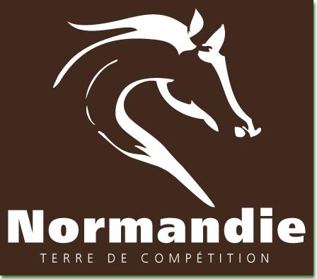 Logo Jeux Equestres Mondiaux 2014
