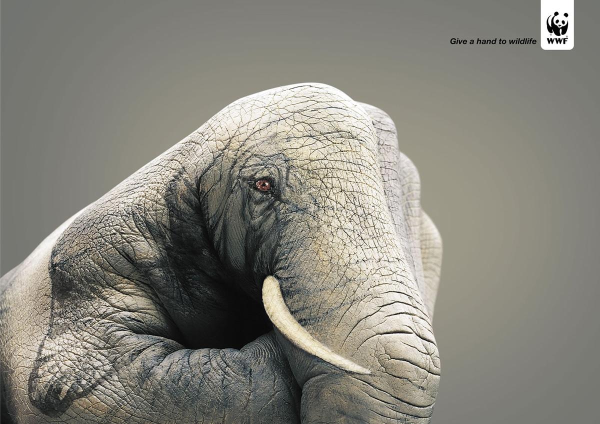 WWF - Give a hand to wildlife WWF - Give a hand to wildlife
