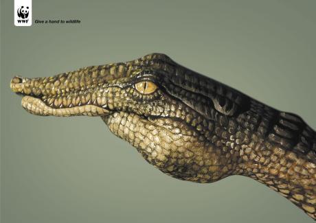 WWF - Give a hand to wildlife WWF - Give a hand to wildlife