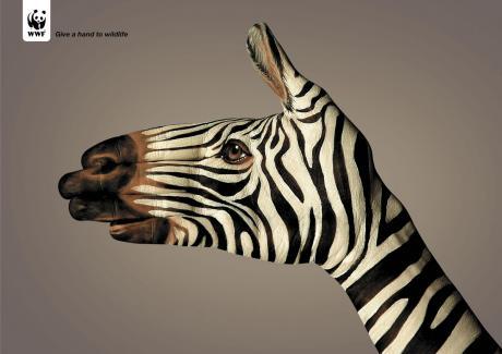 WWF - Give a hand to wildlife WWF - Give a hand to wildlife