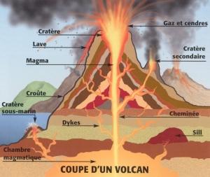 coupe volcan coupe volcan