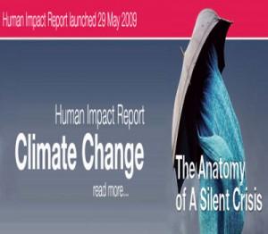 impactreportheader1