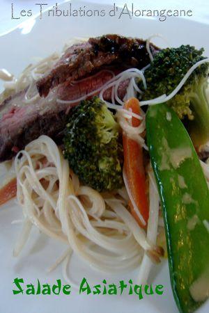 Salade Asiatique DSC00797
