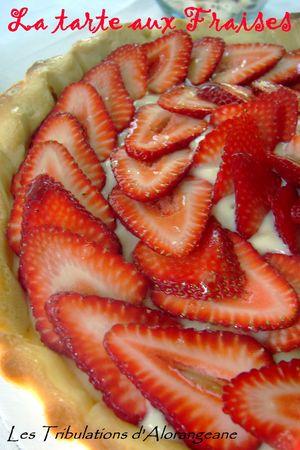 C'est le temps des fraises DSC00776