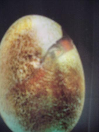 cartes postales 2009 souvenirsadf3