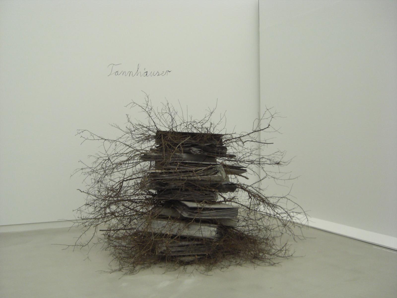 Anselm Kiefer Tannhauser anselm-kiefer-tannhauser.1244464264.JPG