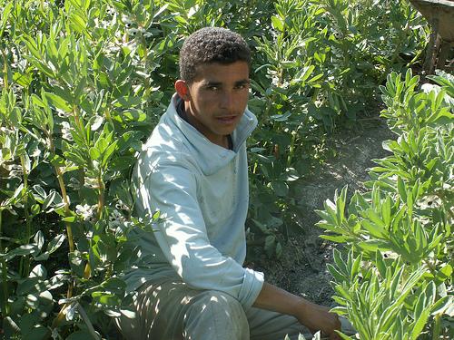 La vie dans un petit village au Maroc : l'histoire de Bachir