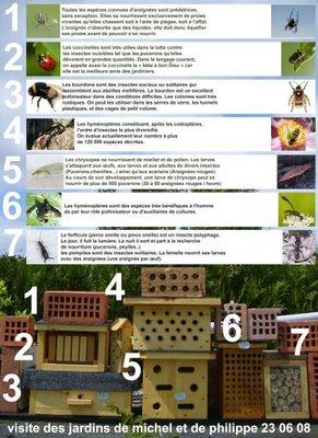 Gîte pour les 6 pattes (et plus) et baves... Gîte pour les 6 pattes (et plus) et baves...