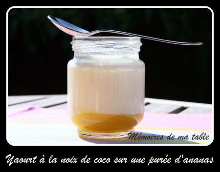 yaourt___la_noix_de_coco_sur_une_pur_e_d_ananas