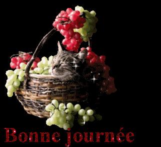 Tajine de veau aux fèves et petits pois+Blog Salma82 Tajine de veau aux fèves et petits pois+Blog Salma82