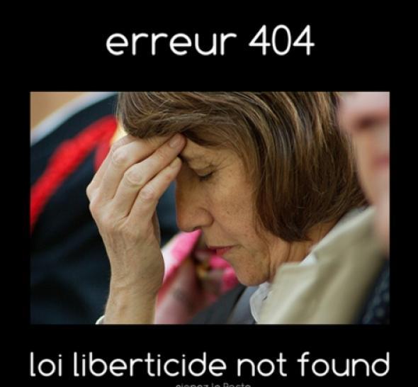 Capture d'écran le 9 avril 2009, montrant une image détournée de Christine Albanel à l'Assemblée nationale. 