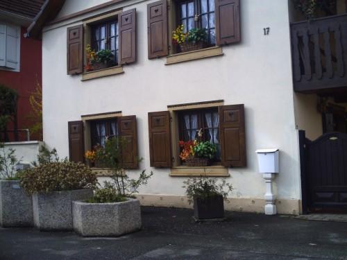 Alsace alsace mars 2009 029.jpg