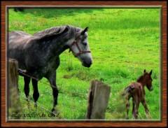 ANGELITA angélita2.jpg