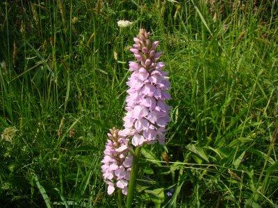 Déclaration finale de Jésus à Jean Déclaration finale de Jésus à Jean